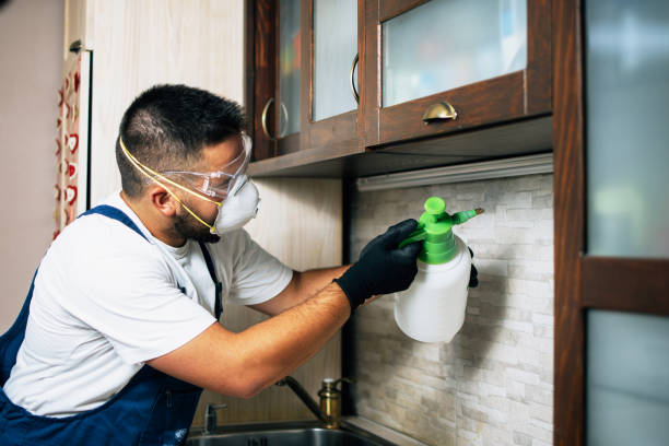 Best Exterminator Services  in Carrollton, AL