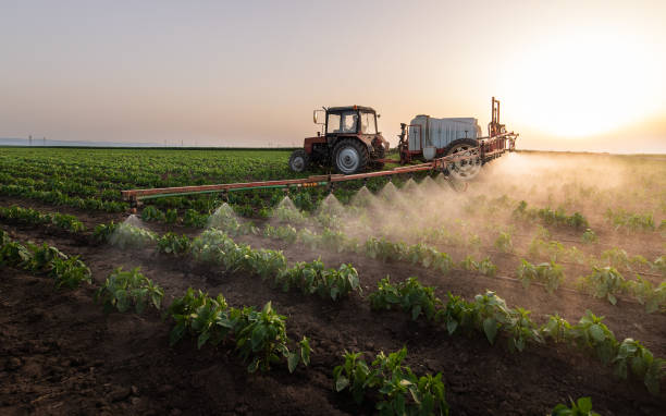 Reliable Carrollton, AL Pest Control Solutions