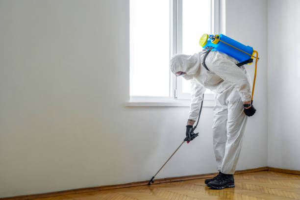 Best Rat Extermination Near Me  in Carrollton, AL