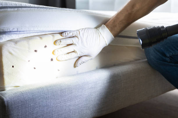 Best Best Pest Control Companies  in Carrollton, AL